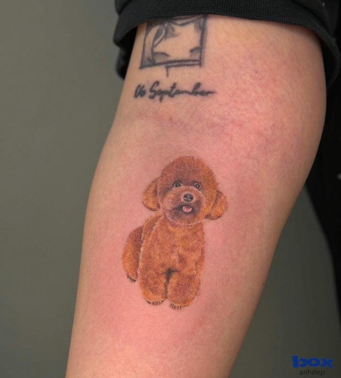 hình xăm đui đẹp