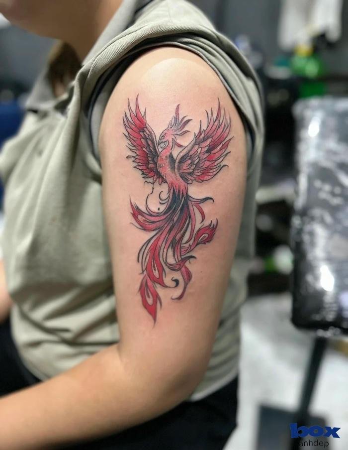 hình xăm phượng hoàng cho nam nhỏ