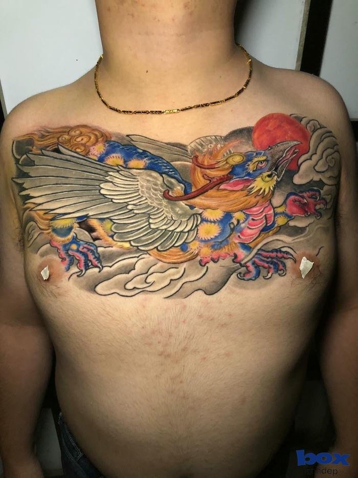 99+ Hình xăm phượng hoàng cho nam đẹp mĩ miều hiện nay