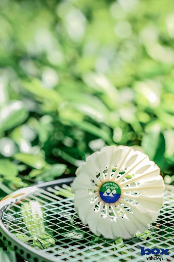 quả cầu lông 4k nét