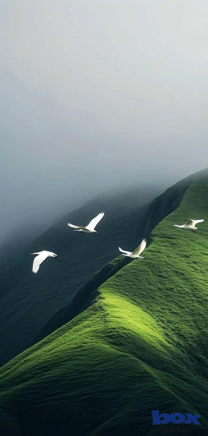 samsung wallpaper 4k