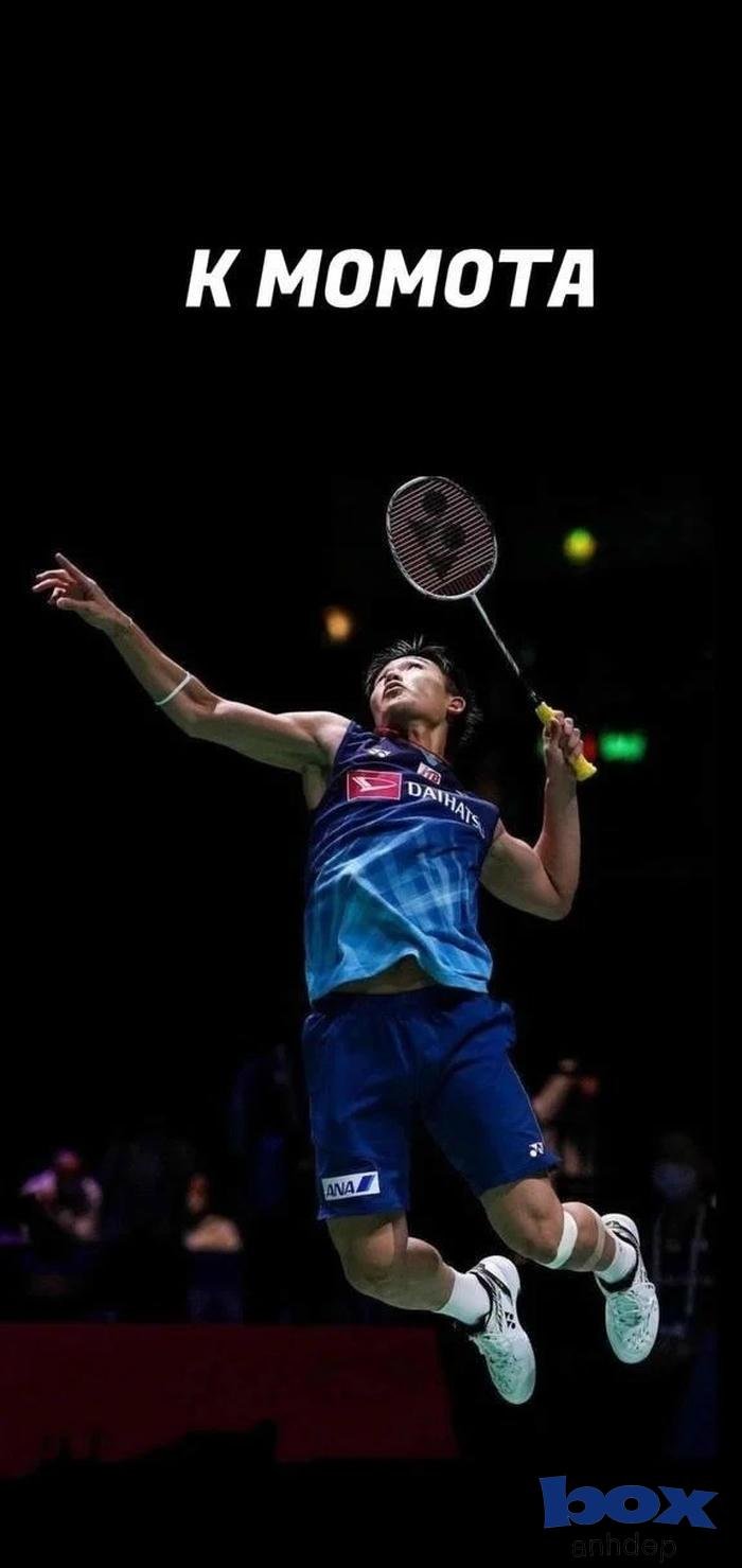 thi đấu cầu lông hd