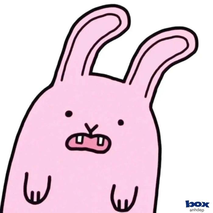 Khám phá ngay bộ sưu tập avatar bựa cute không thể bỏ lỡ