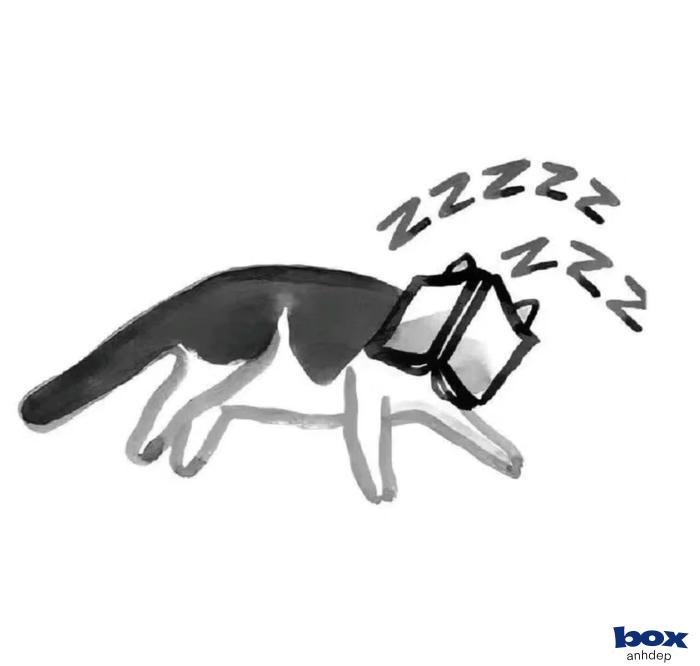 tinh tế avatar đơn giản