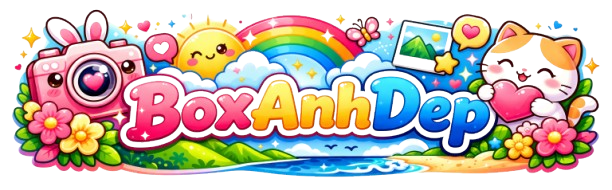boxanhdep.com